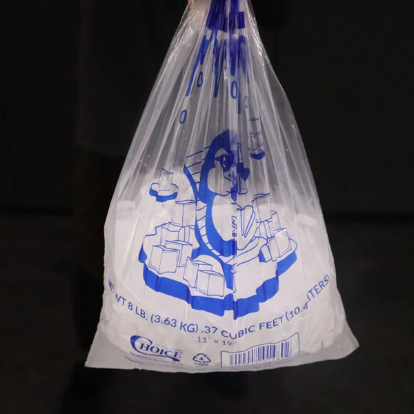 Lot De 10 Sacs à Glace Réutilisables Avec Cordon De Serrage - Robuste, étanche, Idéal Pour Fêtes Et Pique-niques (3 Tailles)