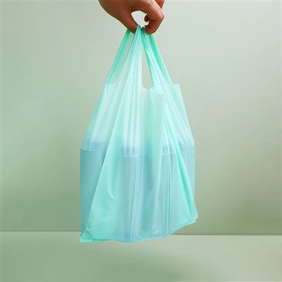 Sacs à provisions en plastique vert